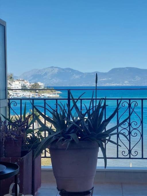 Bright Central Apartment With Splendid Sea View! Chalkida Bagian luar foto